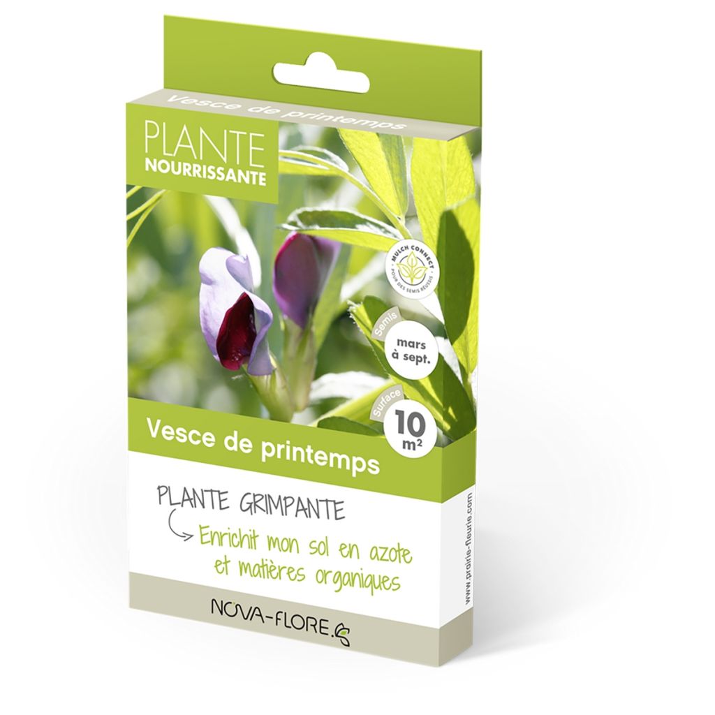 Zomerwikke groenbemester - Vicia sativa