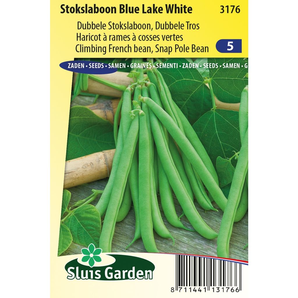 Stokslaboon Blue Lake White (zaad)