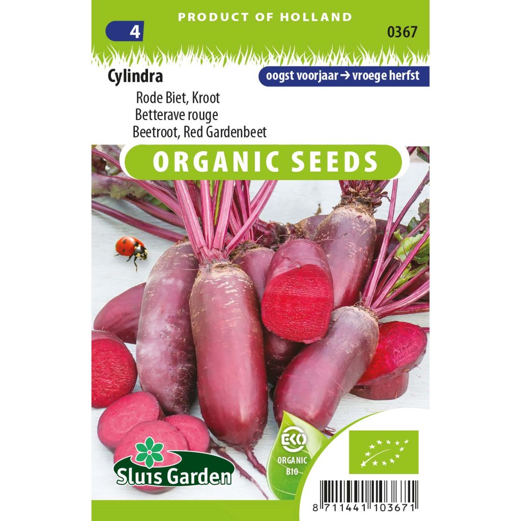 Rode biet Cylindra BIO