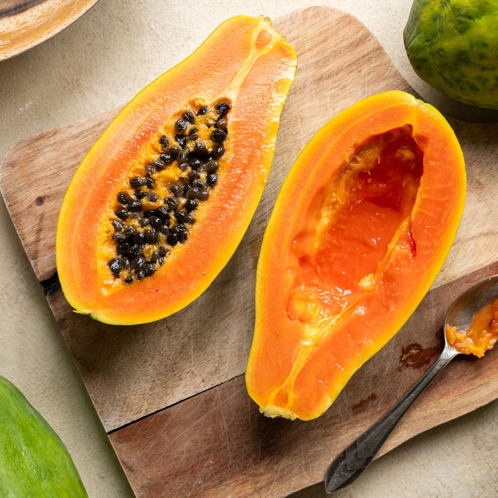Papaja - Carica papaya