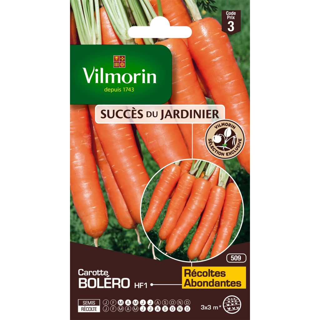 Wortel Boléro F1 - Vilmorin