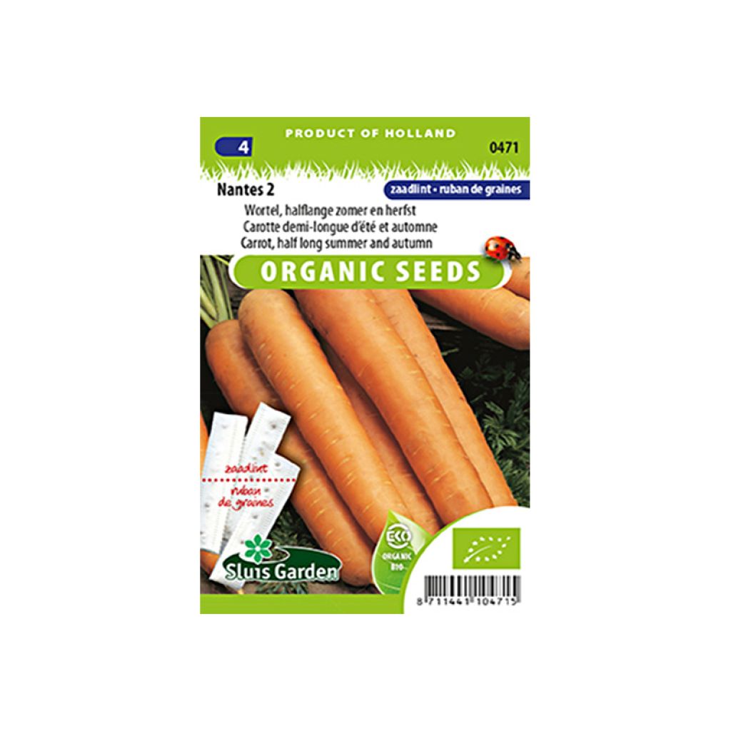 Carte ruban de Carotte Nantes 2 BIO - Daucus carota