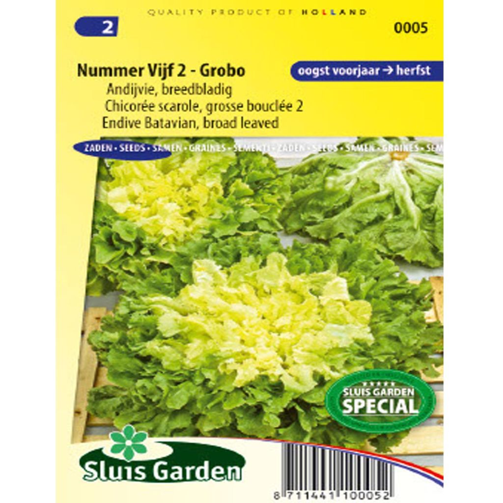 Andijvie Breedblad Grosse Bouclée 2