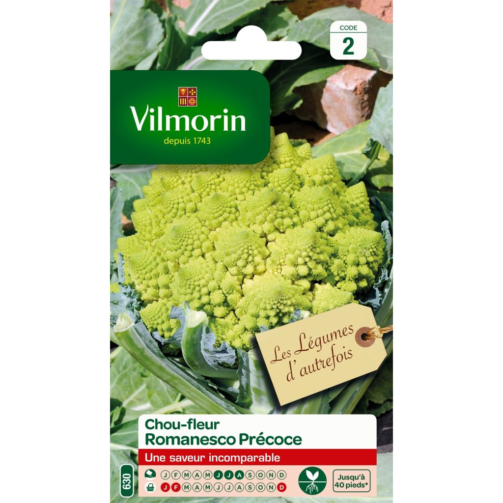 Romanesco - Vilmorin