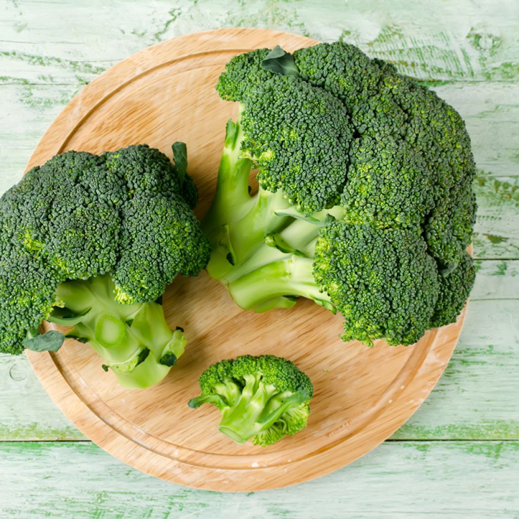 Broccoli Atlantis F1