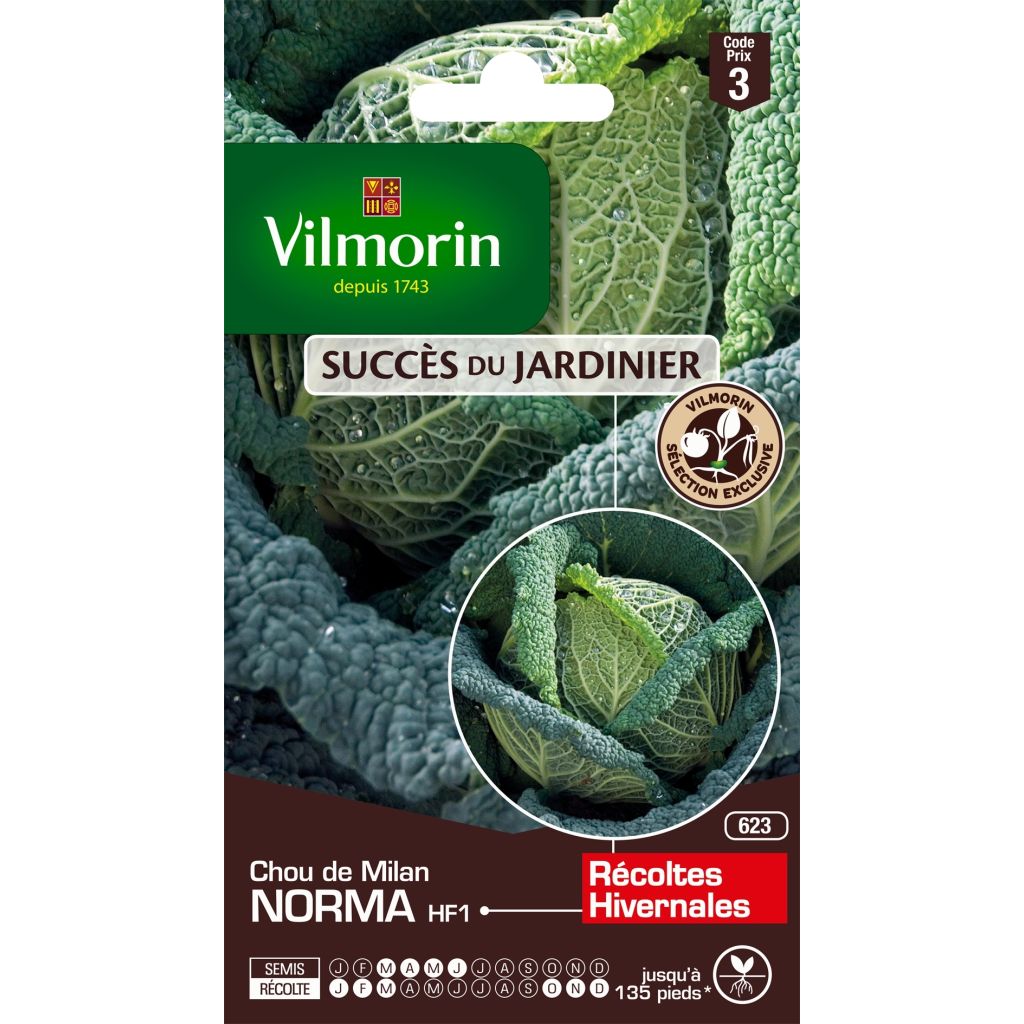 Savooikool Norma F1 - Vilmorin
