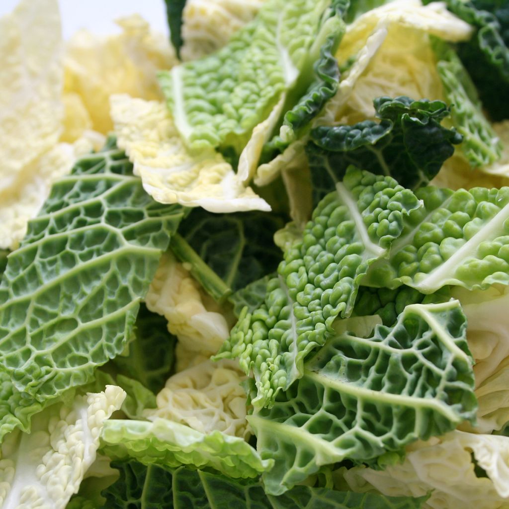 Savooikool Van Aubervilliers