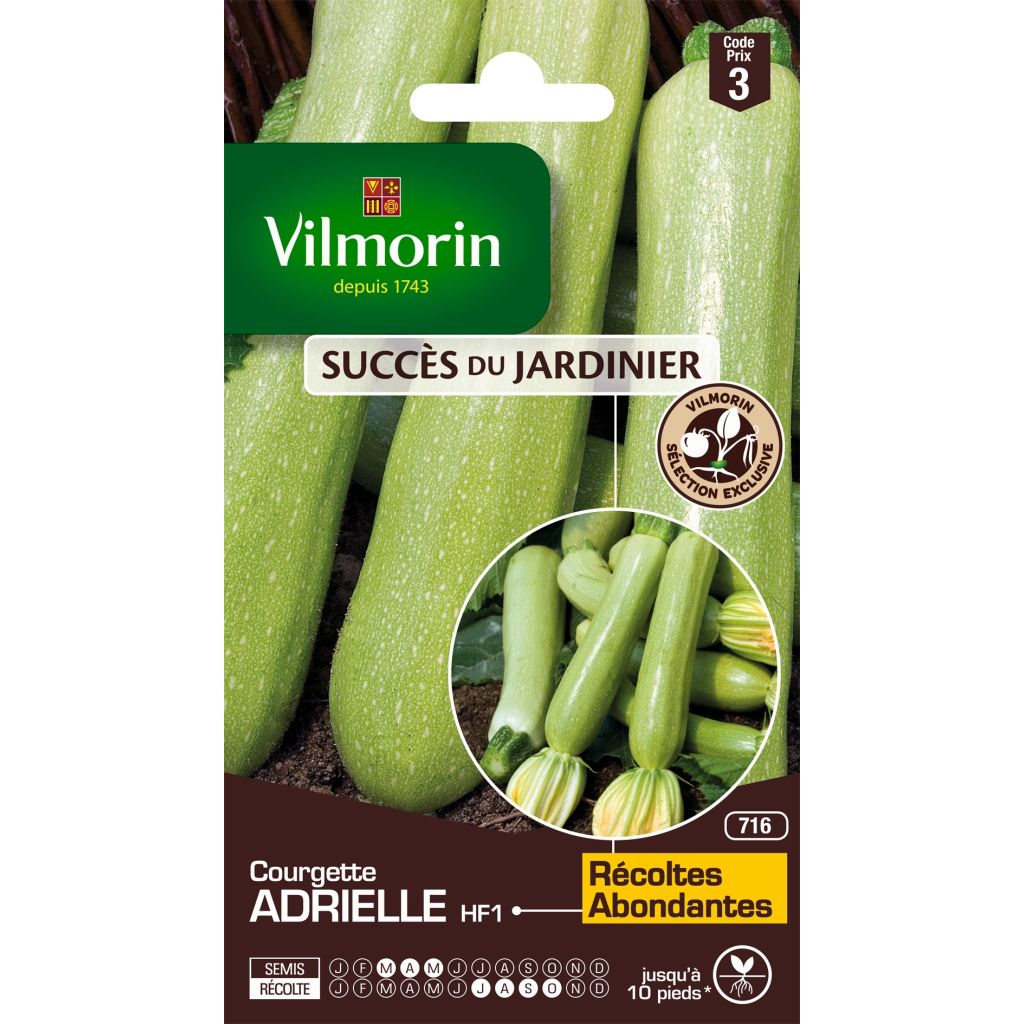 Courgette Adrielle F1 - Vilmorin