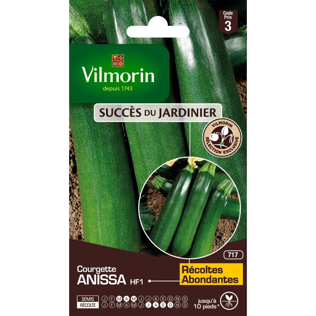 Courgette Anissa F1 - Vilmorin