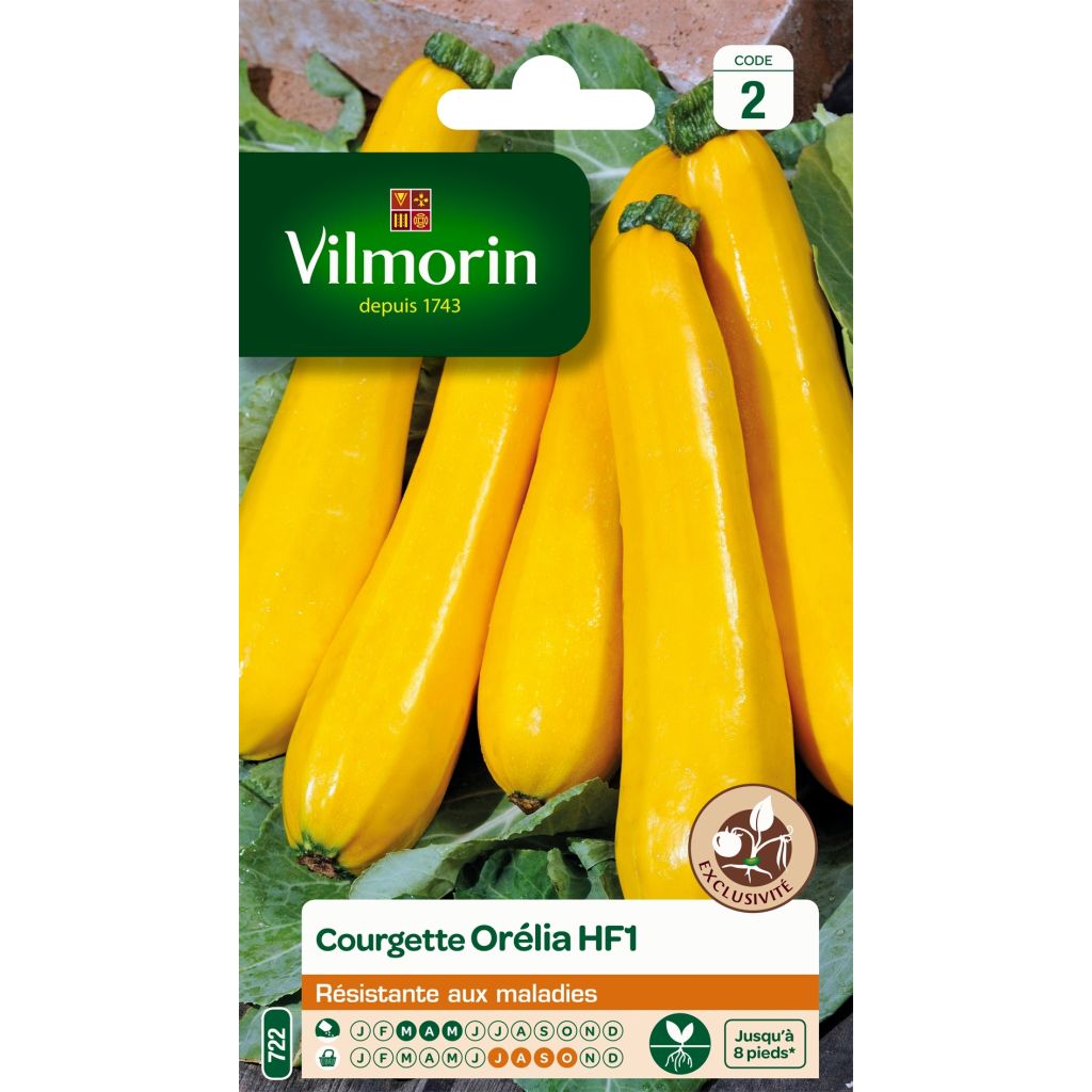 Courgette Orelia F1 - Vilmorin