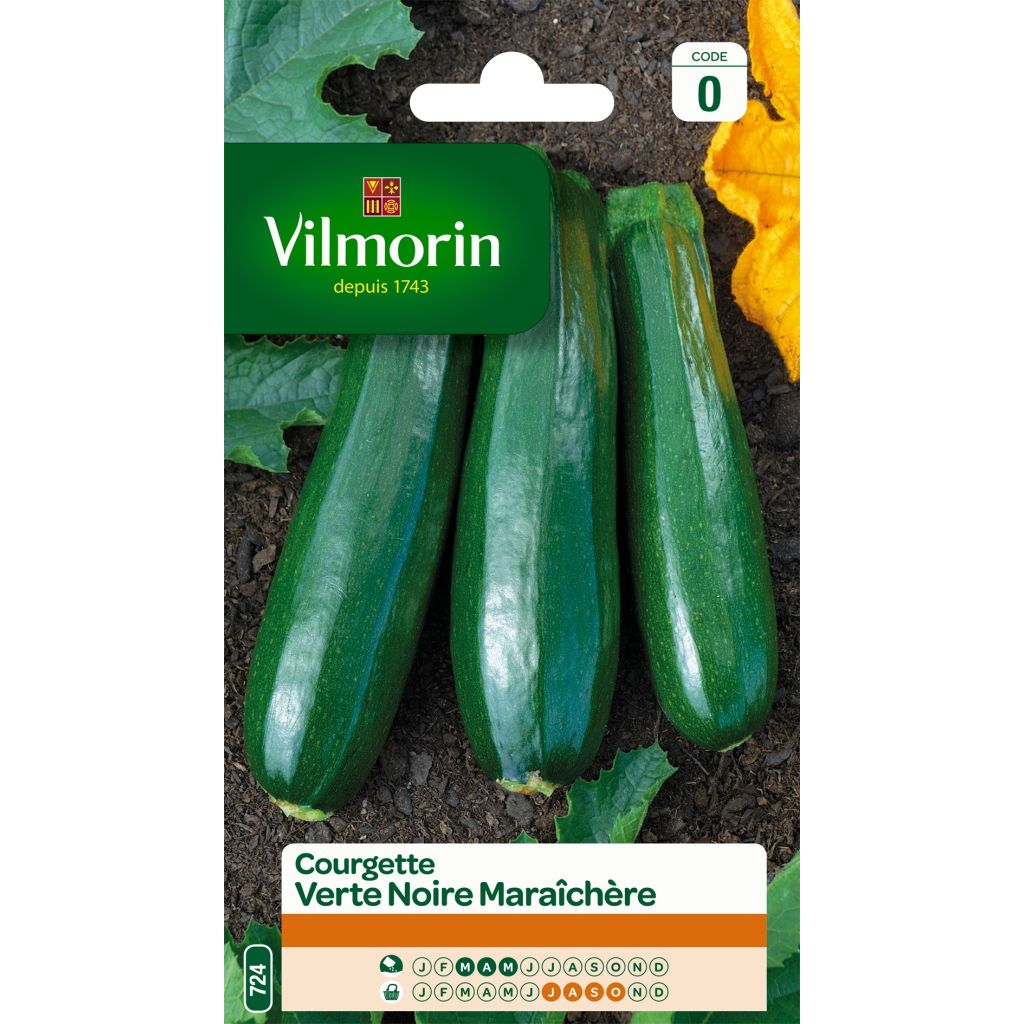 Donkergroene courgette - Vilmorin