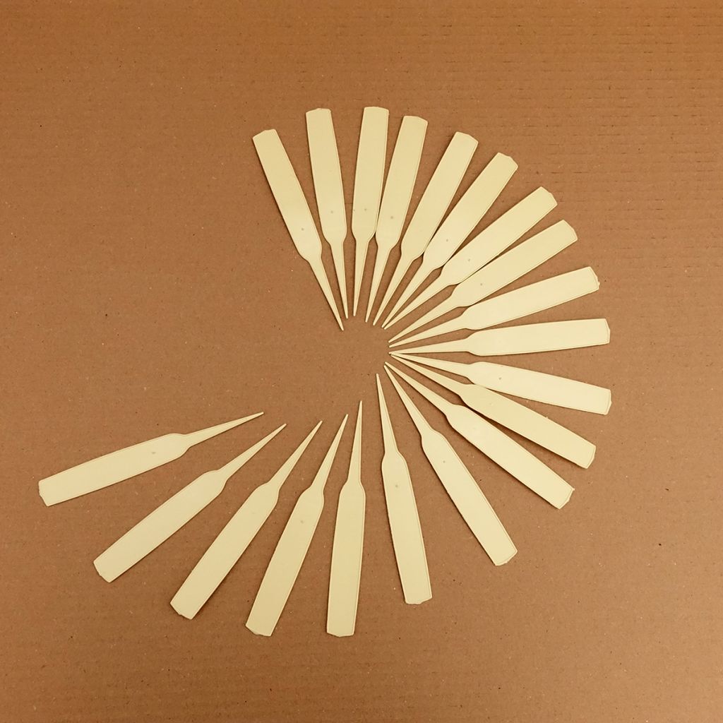 Smalle plantetiketten ivoor