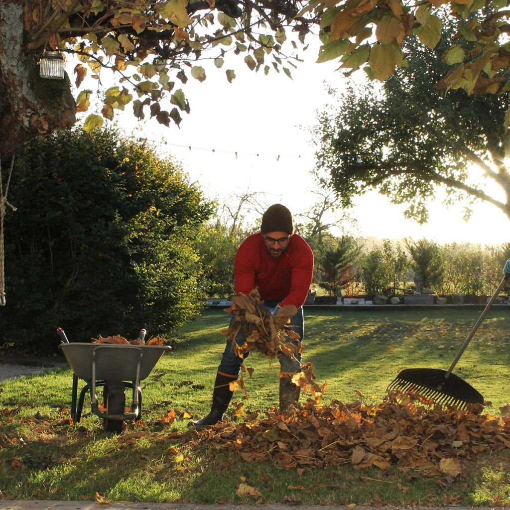 Gants voor zware werkzaamheden en snoei Rostaing palmleer Hekwerk bruin