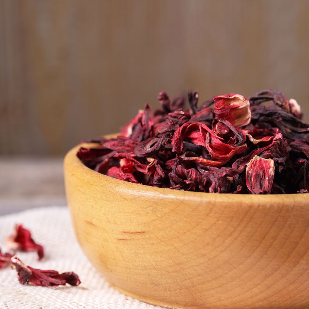 Roselle - Hibiscus sabdariffa (zaad)