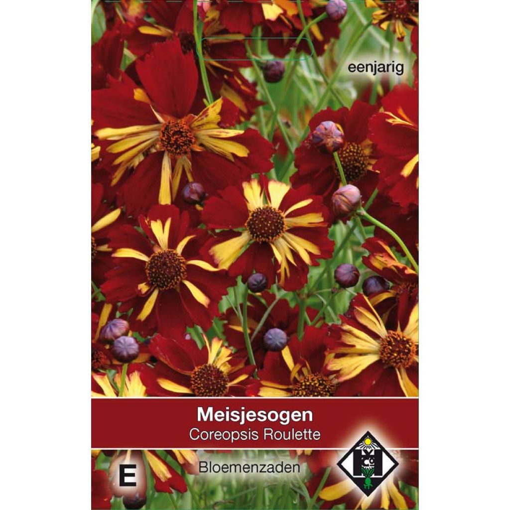 Coreopsis tinctoria Roulette (zaad) - Meisjesogen