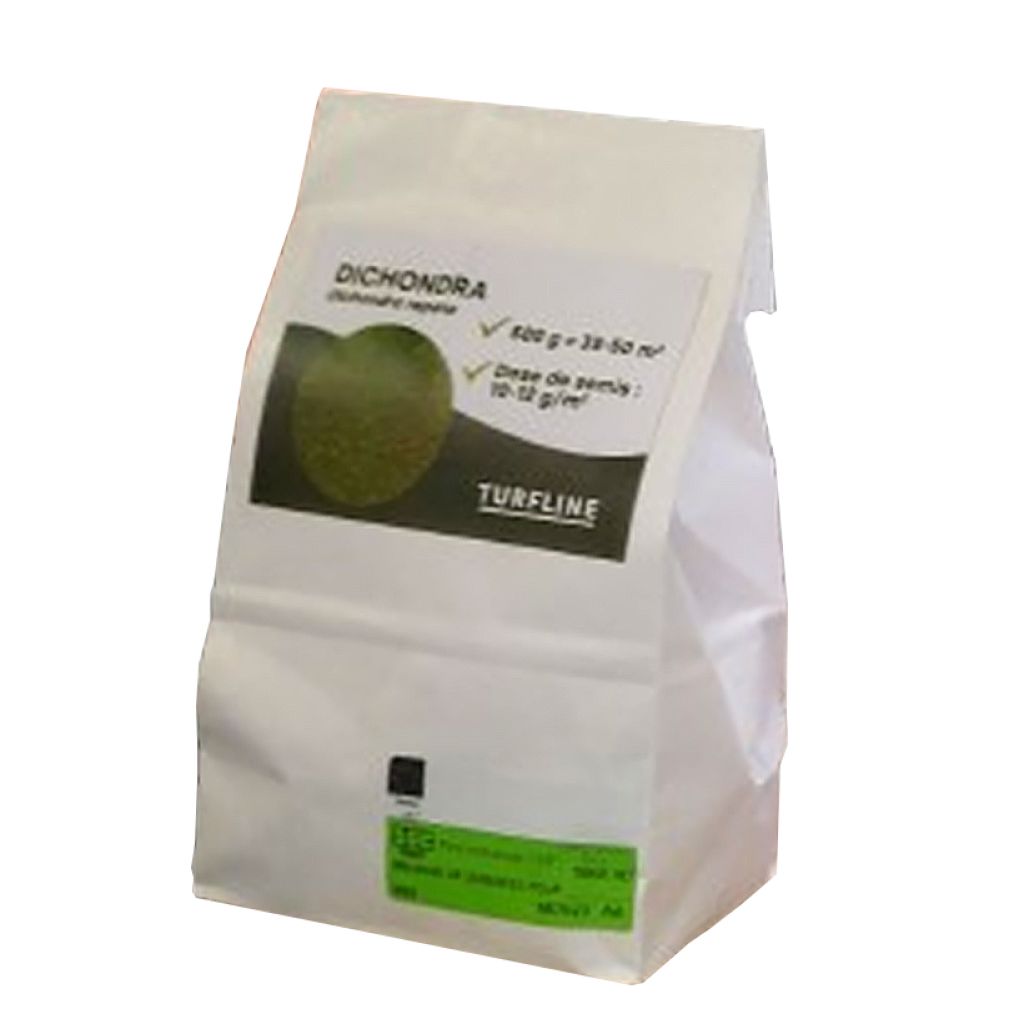 Dichondra repens (zaad) - Niergras