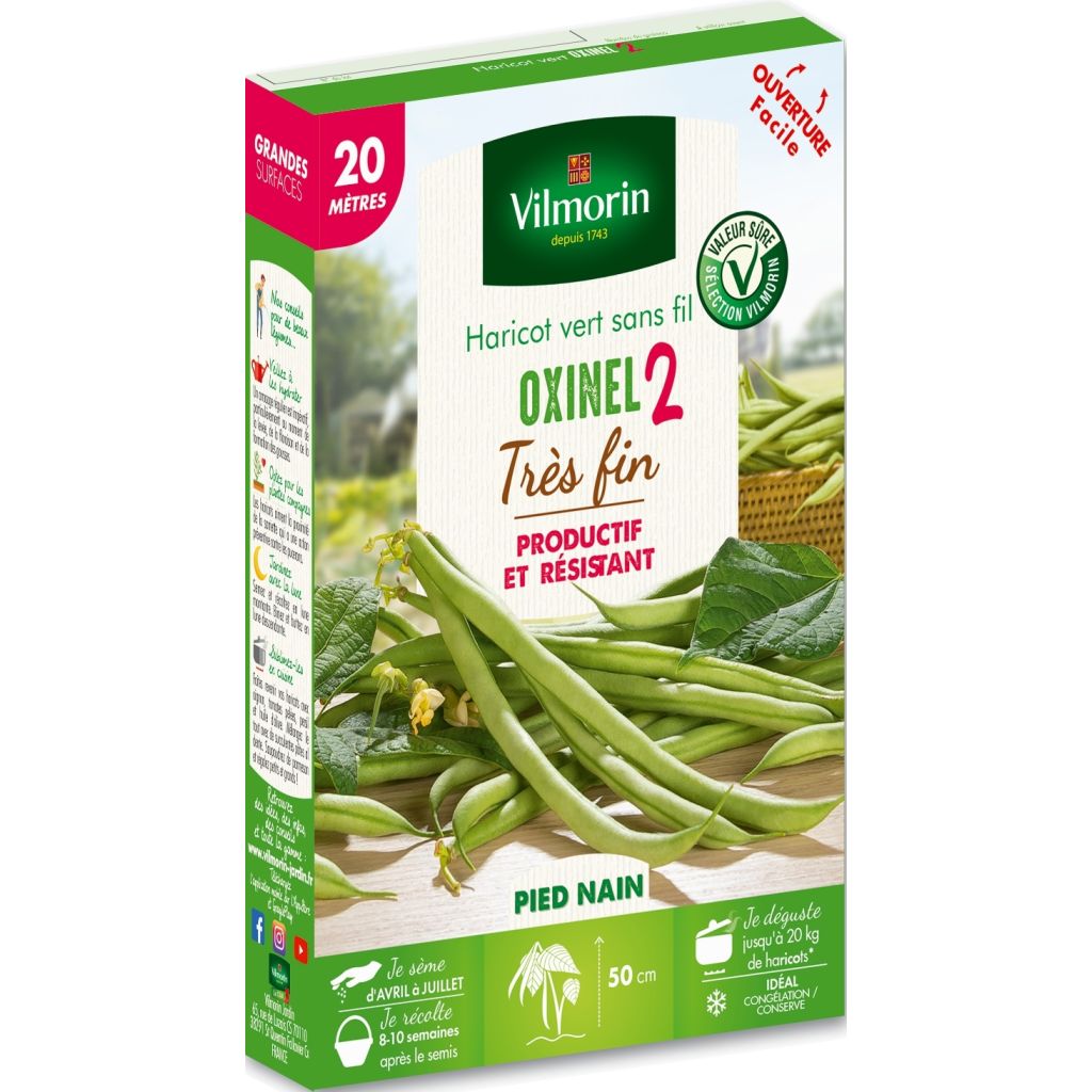 Stamslaboon Oxinel 2 - Vilmorin