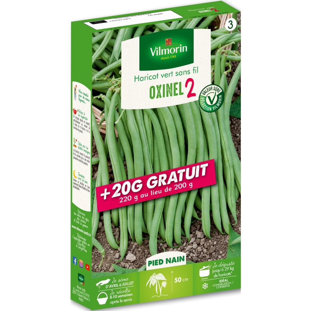 Stamslaboon Oxinel 2 - Vilmorin