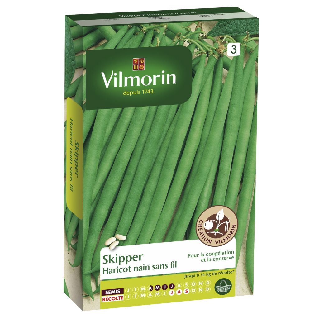 Stamslaboon Skipper - Vilmorin