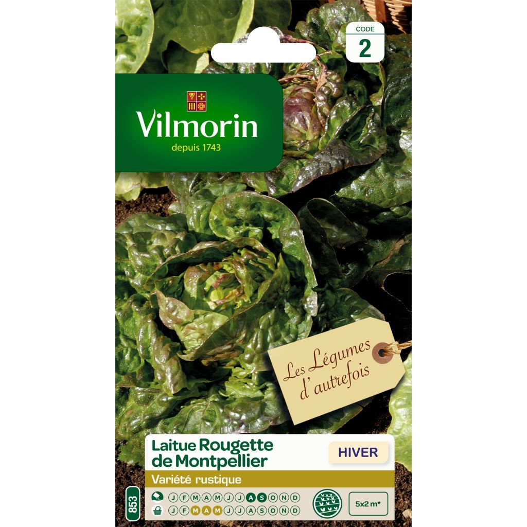 Kropsla Rougette de Montpellier - Vilmorin