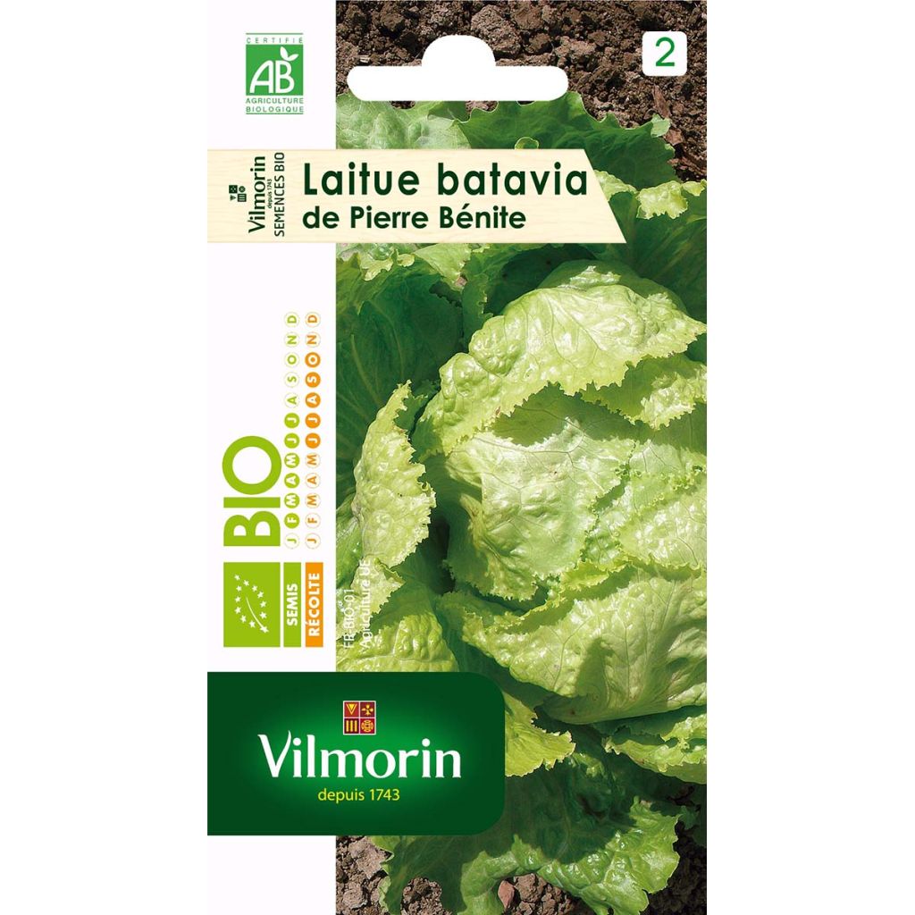 Bataviasla De Pierre Bénite BIO - Vilmorin