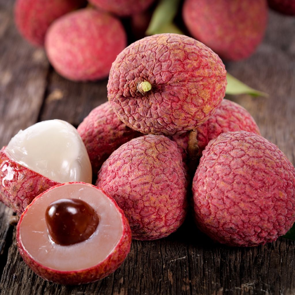 Lychee Kwai May Pink - Litchi chinensis