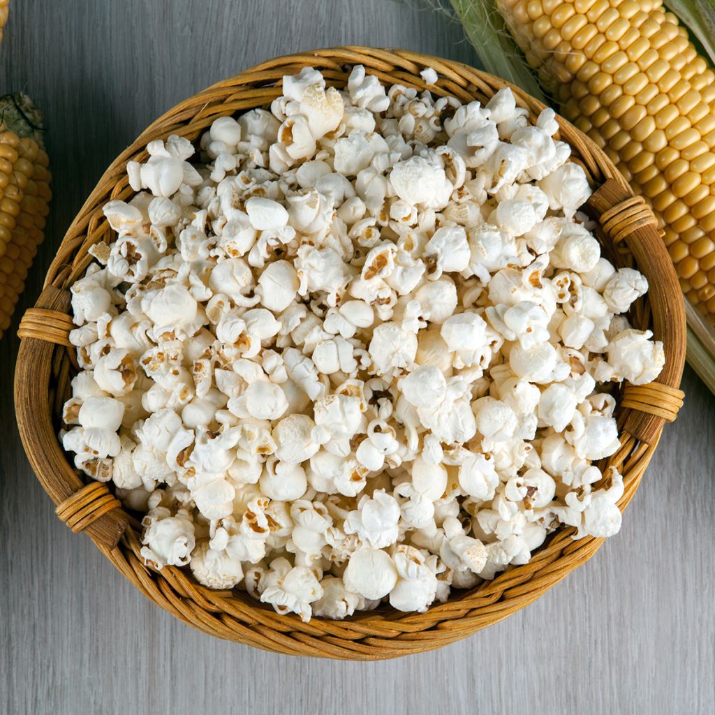 Pofmaïs Duimpje BIO - Ferme de Sainte Marthe