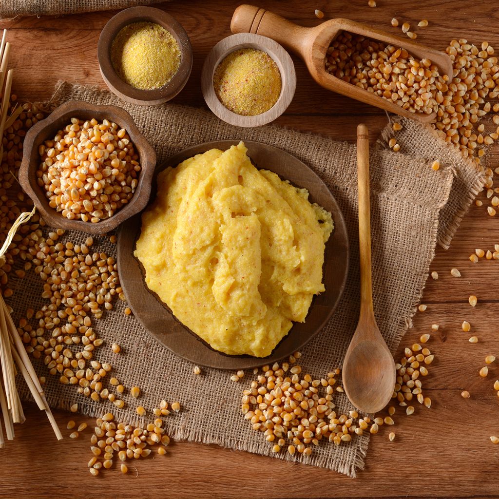 Maïs Mergoscia BIO - Ferme de Sainte Marthe