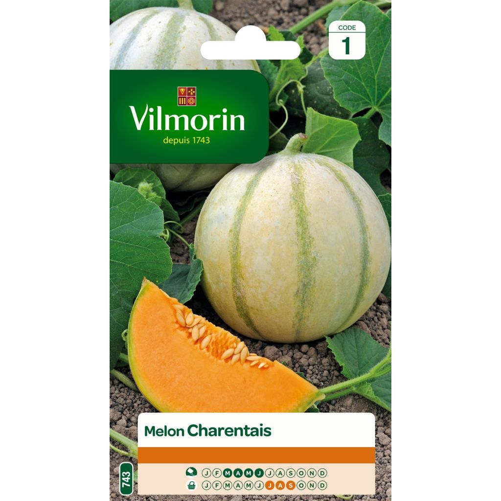 Cantaloupe-meloen Charentais - Vilmorin