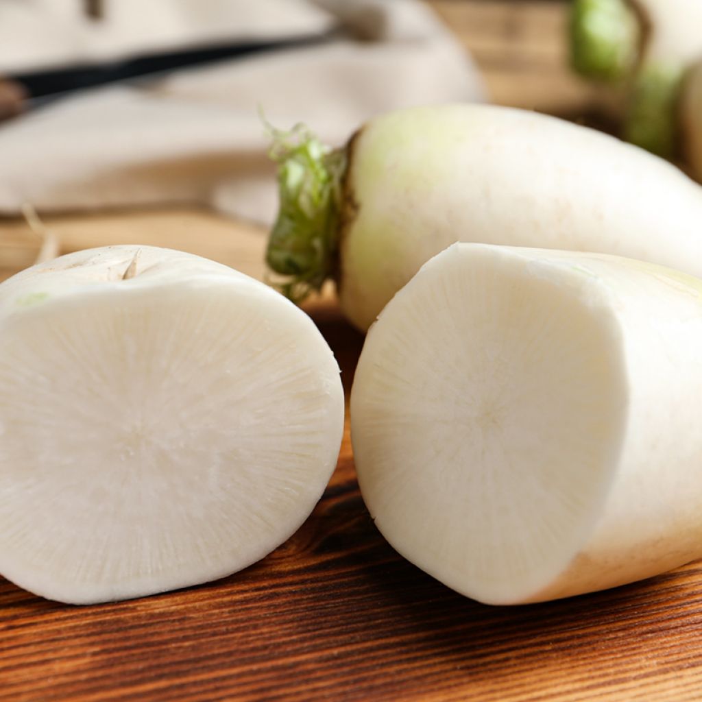 Raap Marteau BIO - Ferme de Sainte Marthe