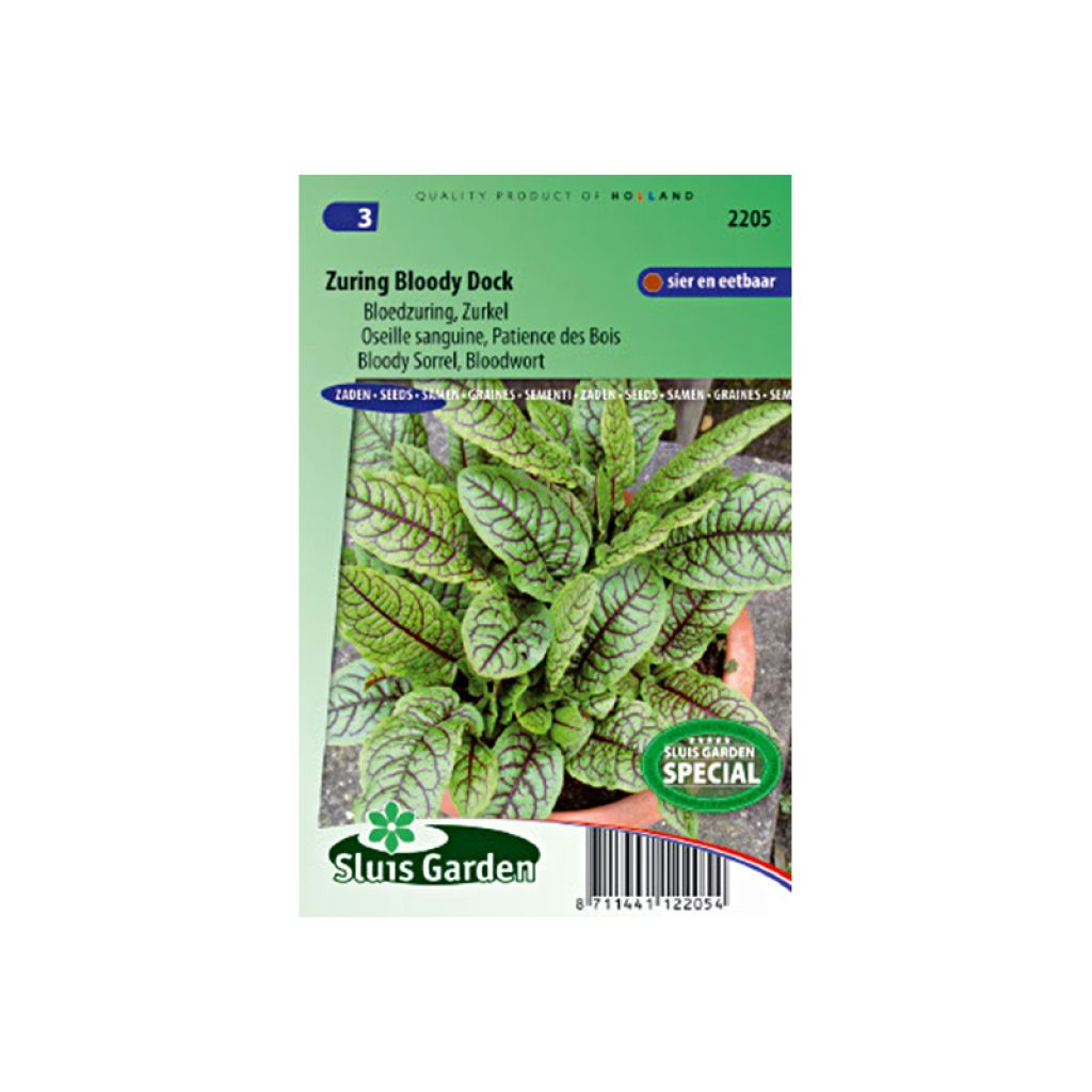 Oseille Sanguine Patience Des Bois - Rumex patienta