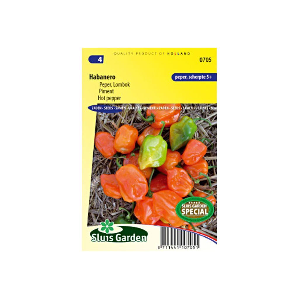 Piment Habanero - Piment antillais