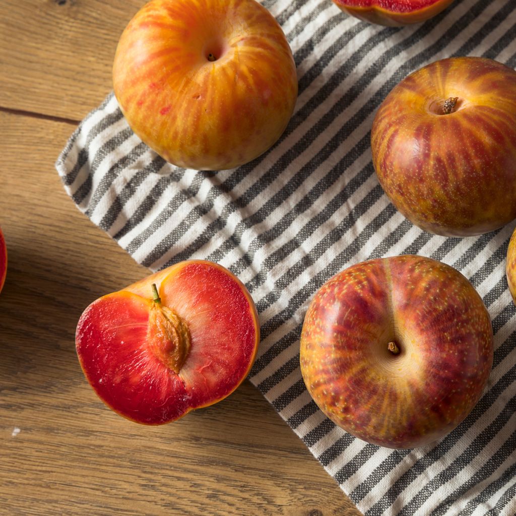 Pluot Dapple Dandy
