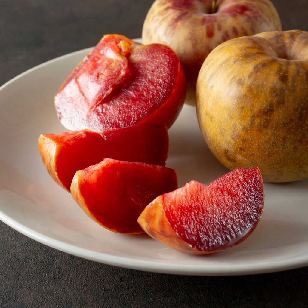 Pluot Dapple Dandy
