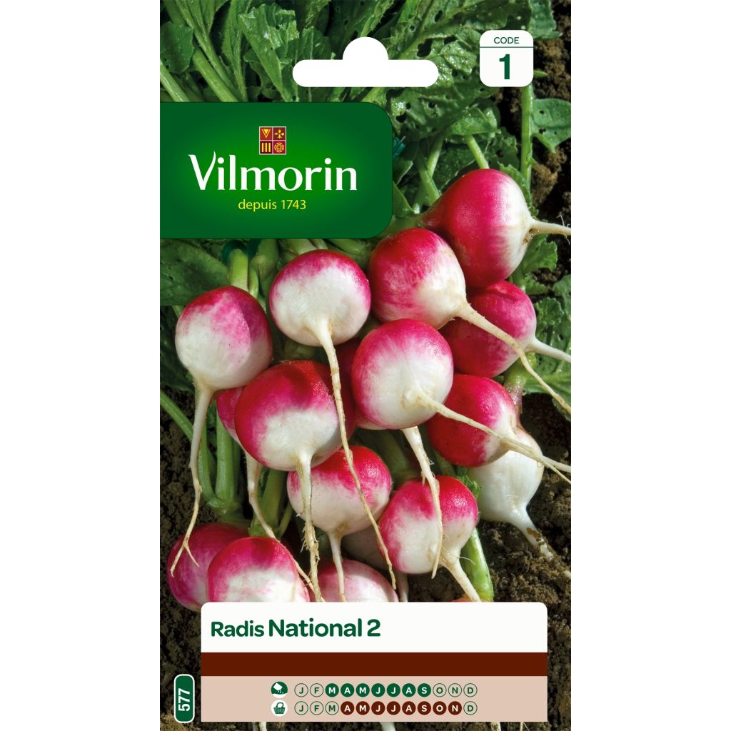 Radijs National 2 - Vilmorin