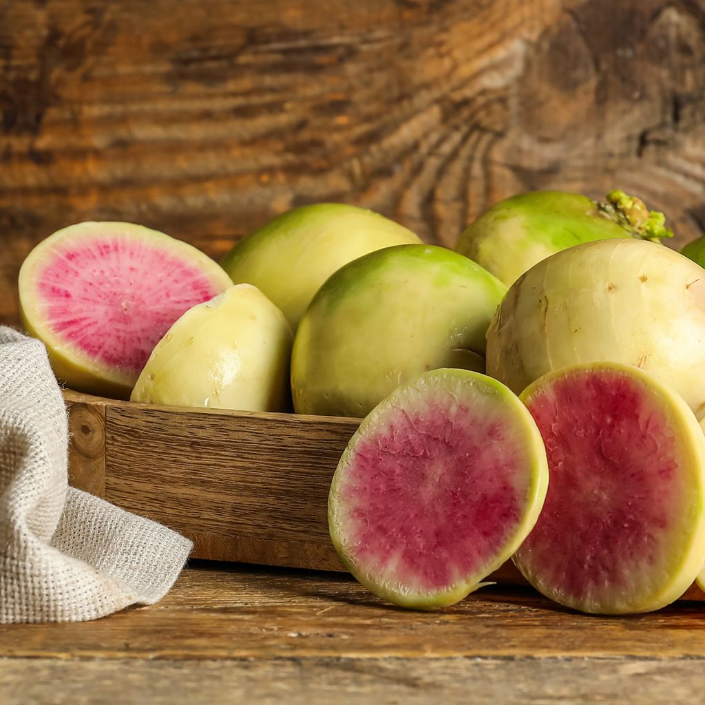 Watermeloenradijs Red Meat