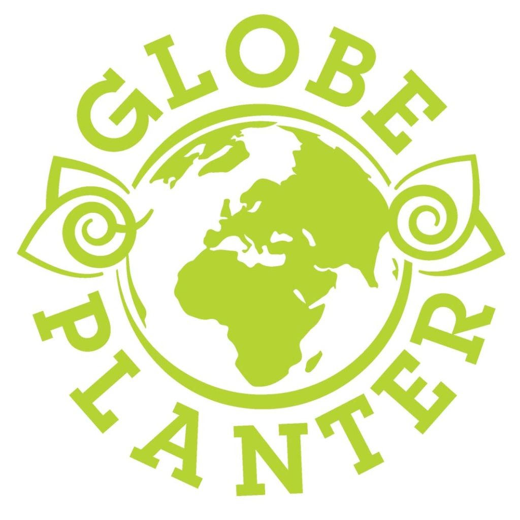 Sempervivum Chick Charms Cranberry Cocktail - Huislook