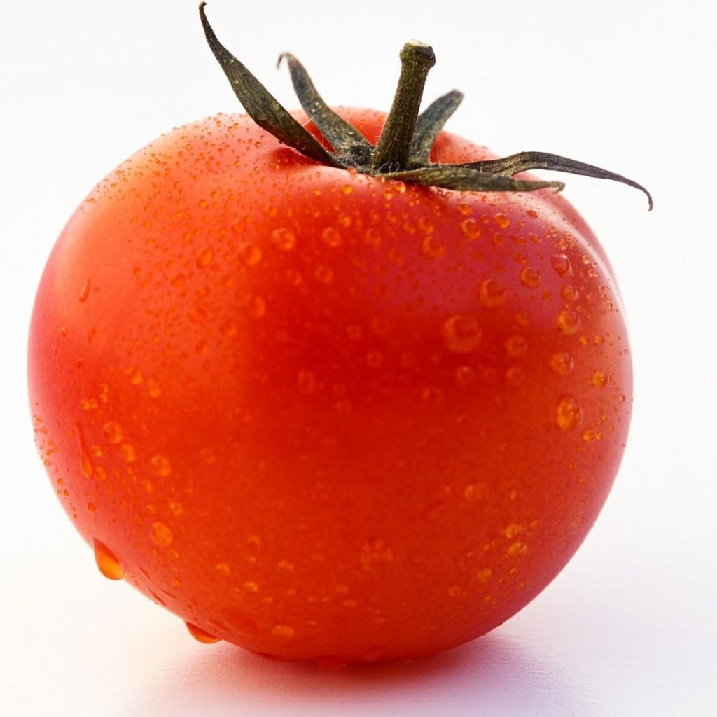 Tomate Bali F1 en plants