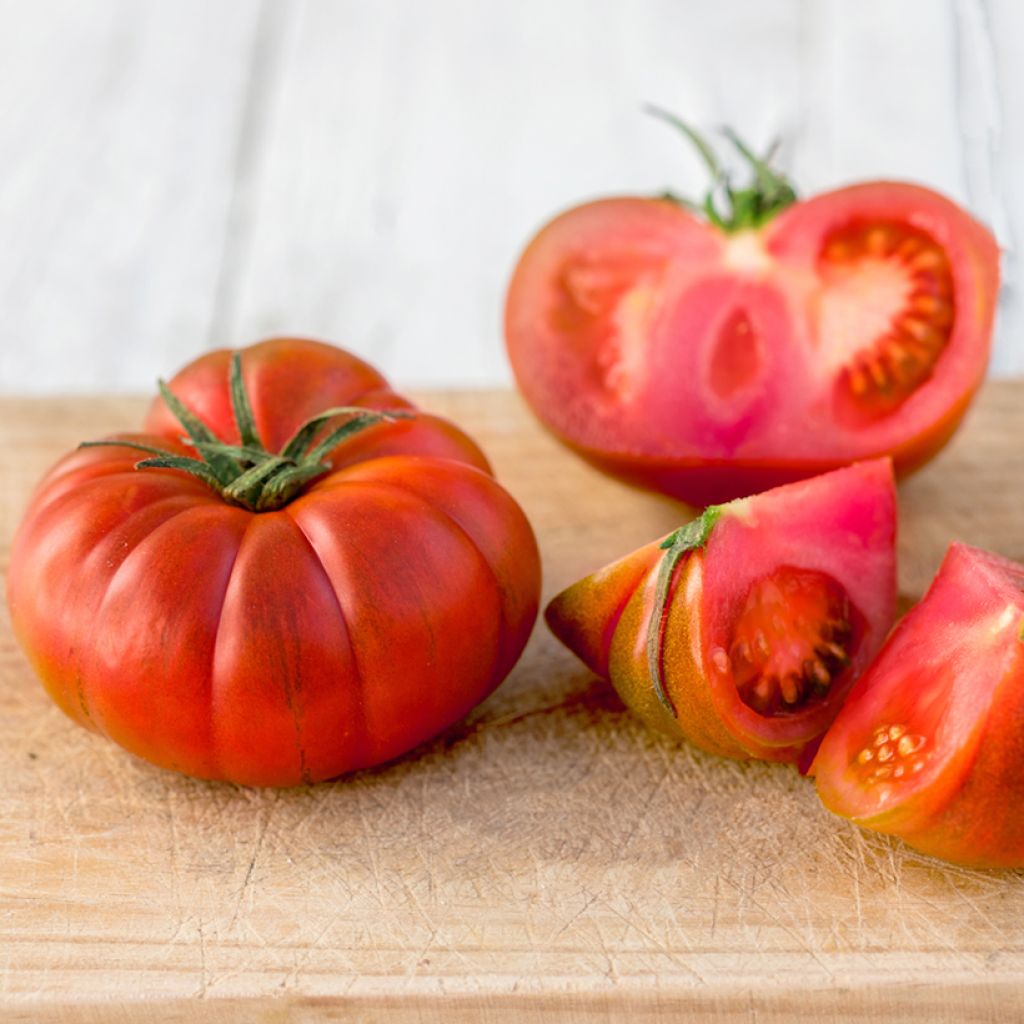 Vleestomaat Faworyt BIO