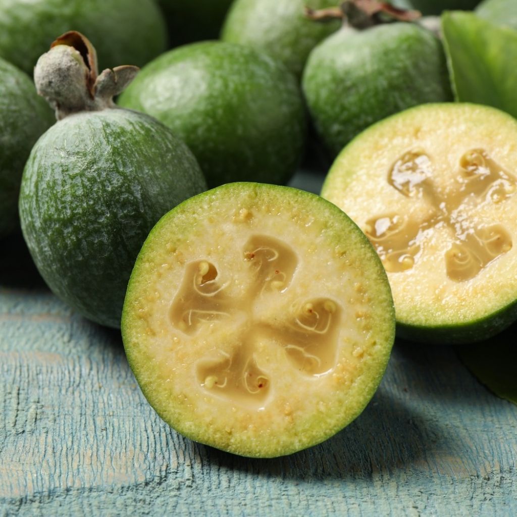 Ananasguave - Acca sellowiana