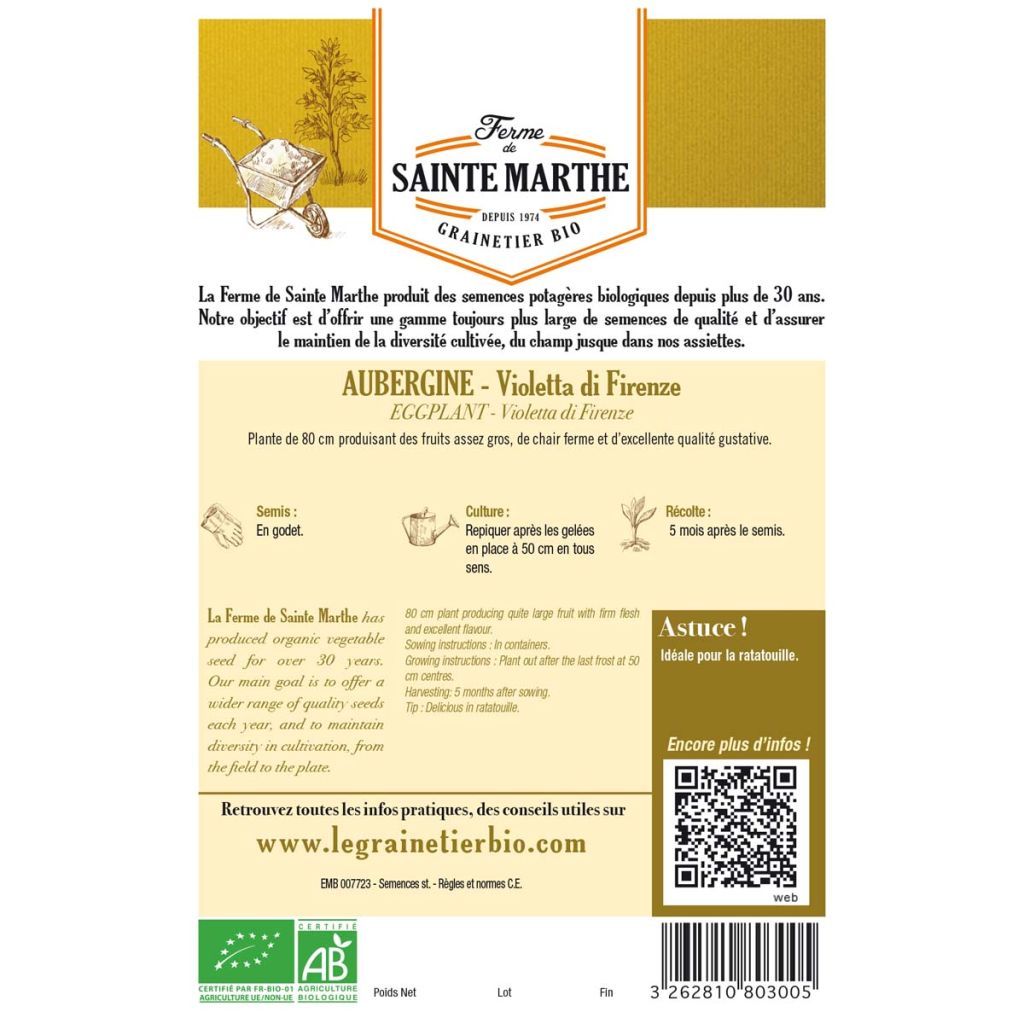Aubergine Violetta Di Firenze BIO - Ferme de Sainte Marthe