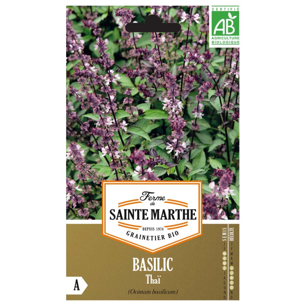 Basilic Thaï - Ferme de Ste Marthe