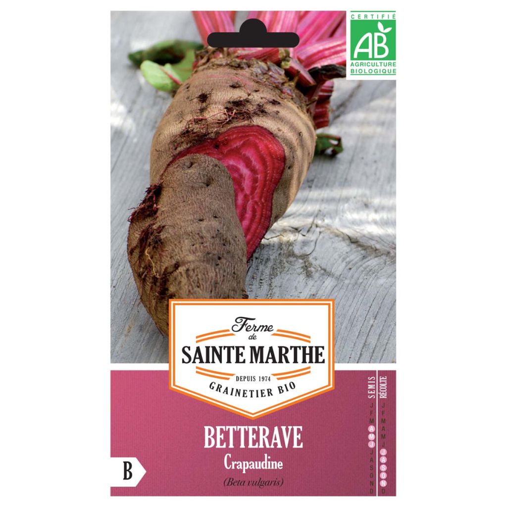 Betterave Crapaudine - Ferme de Ste Marthe
