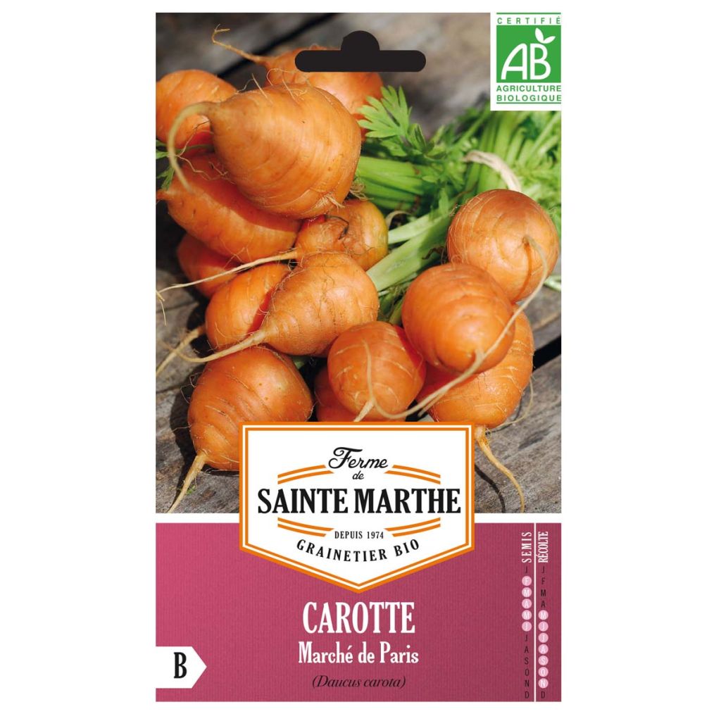 Wortel Parijse Markt BIO - Ferme de Sainte Marthe