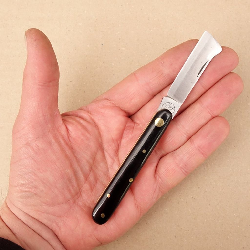 Oculatie van wijnstokken