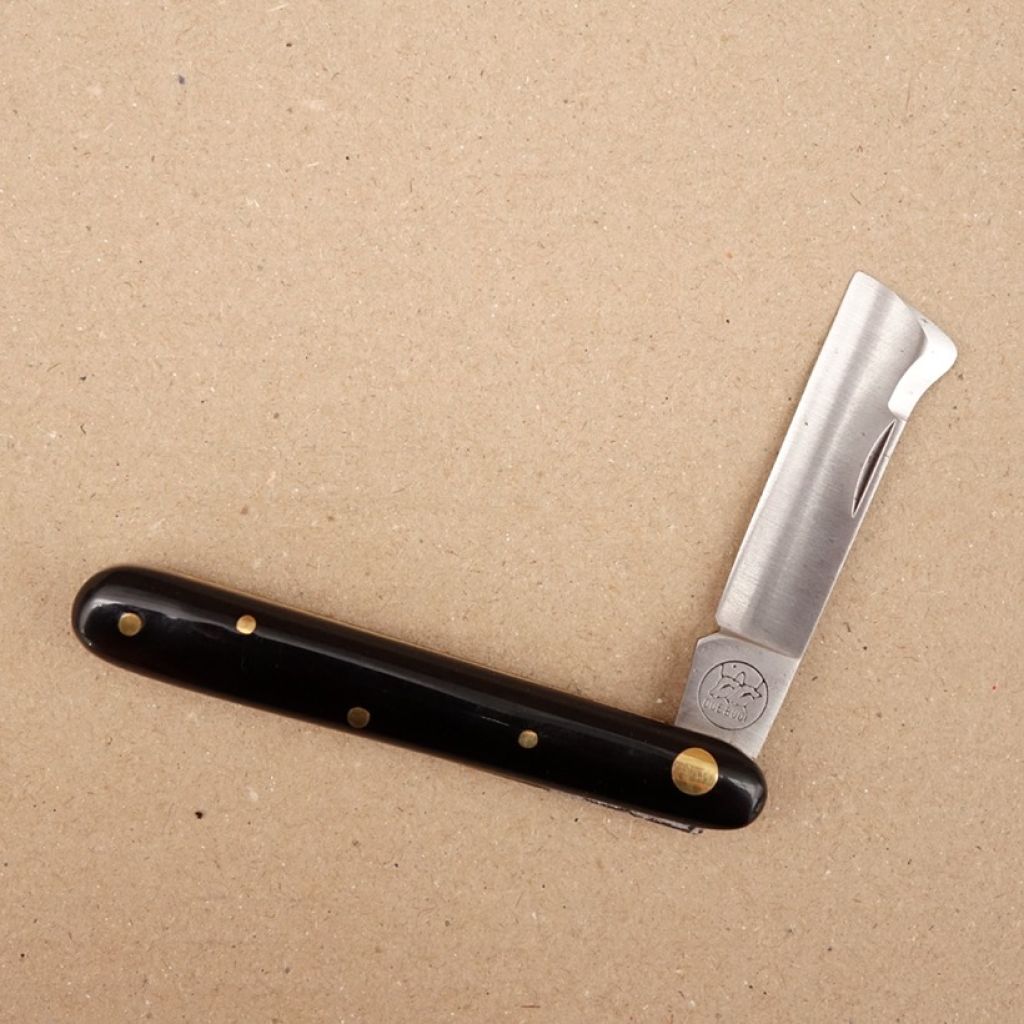 Oculatie van wijnstokken