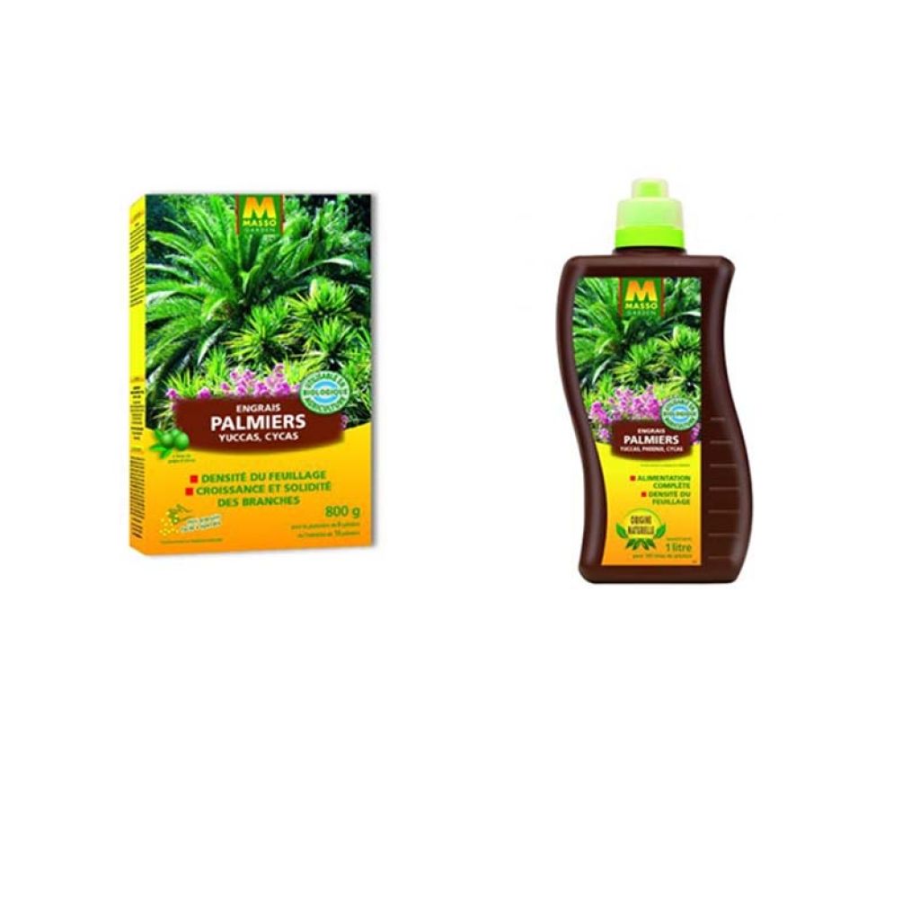 Meststof voor palmen, yucca's en cycaspalmen in UAB - Masso