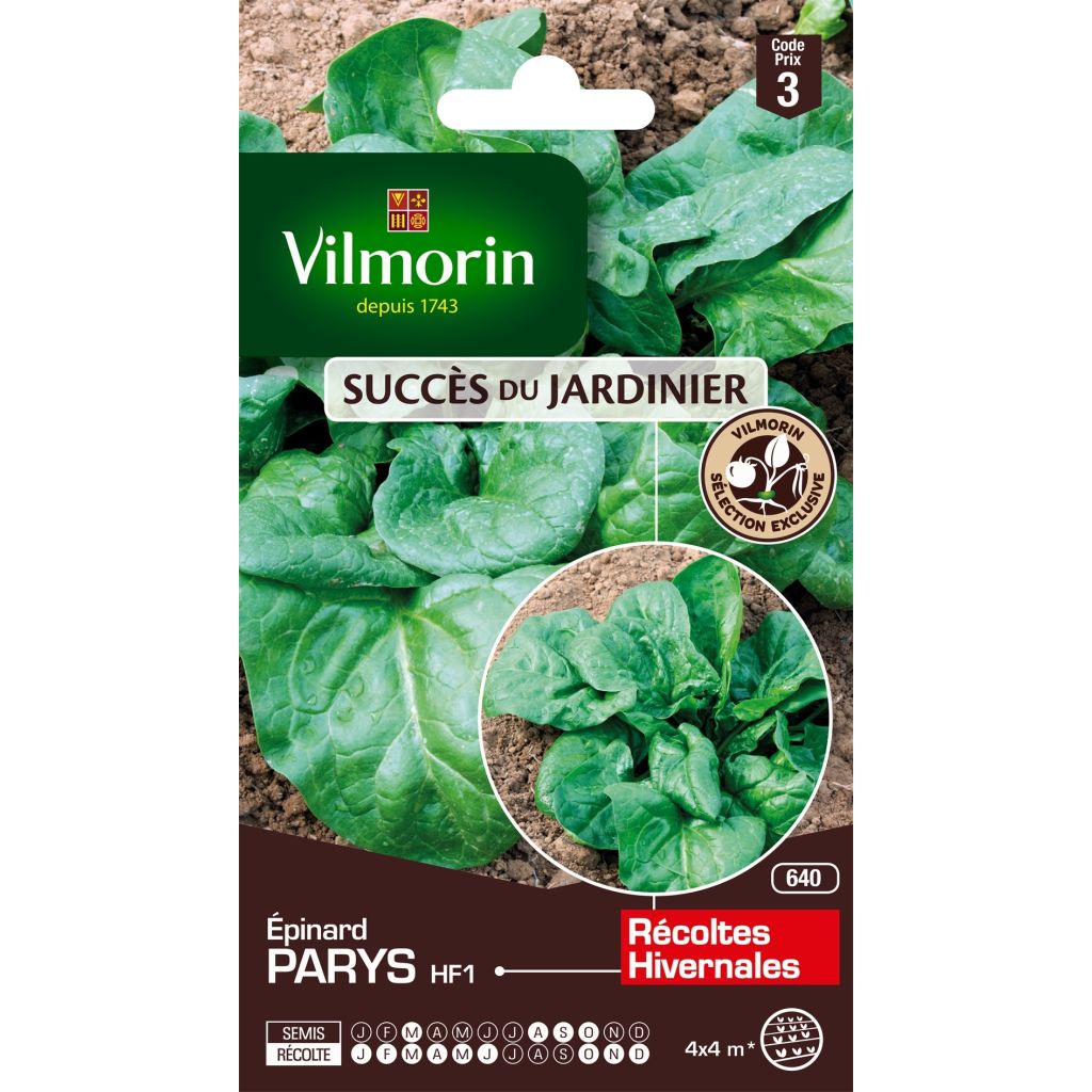 Spinazie Parys F1 - Vilmorin