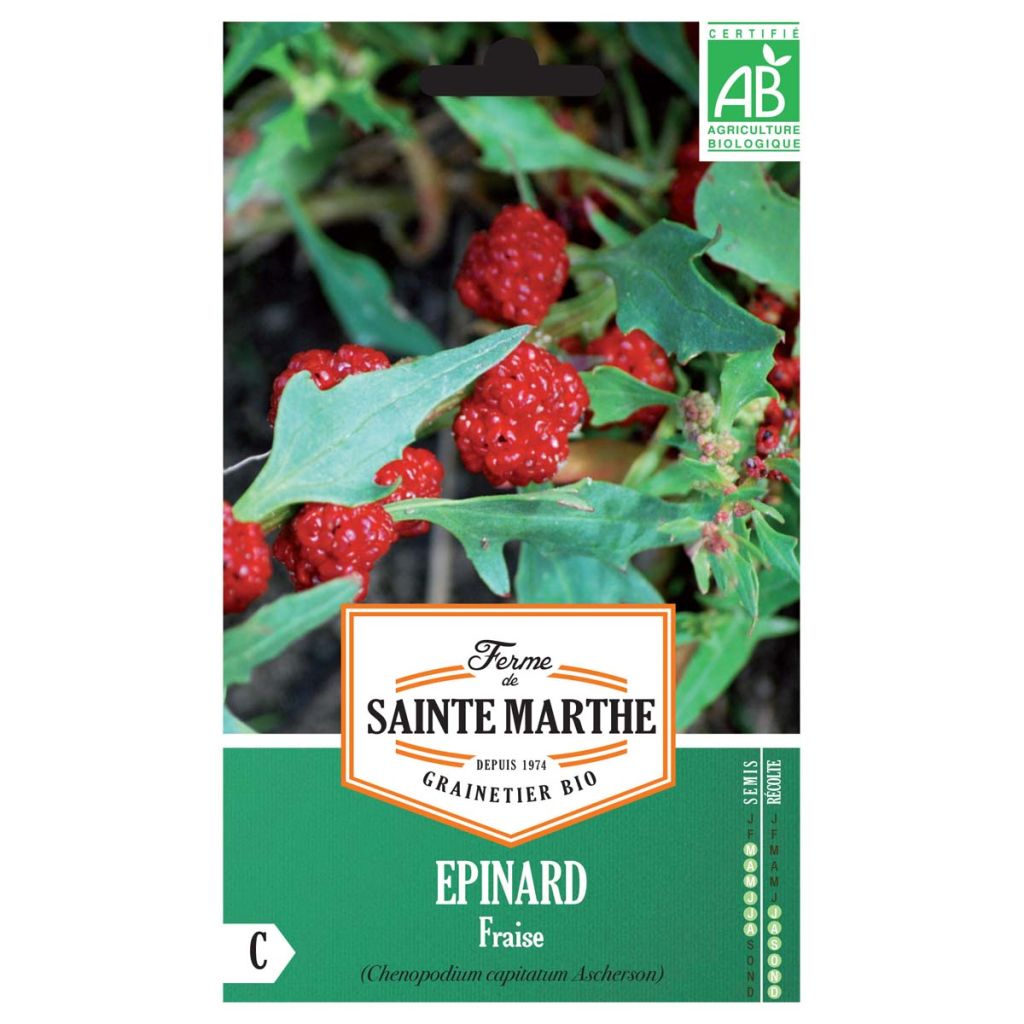 Epinard Fraise Bio – Top 50 - Ferme de Sainte Marthe