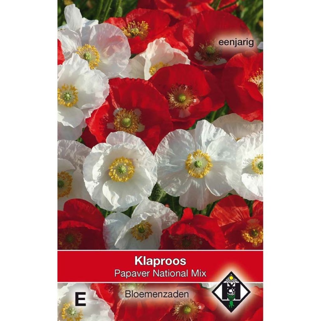 Papaver rhoeas National Mix (zaad) - Grote klaproos